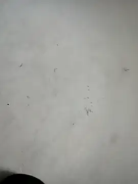 Snapshot of ndon63421 chatting on October 3, 2025, 2:58 pm ndon63421 online show from October 3, 2025, 2:58 pm