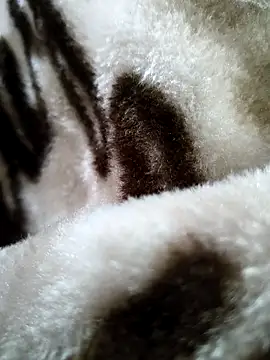 bold guy 1234 online show from December 17, 2025, 5:35 am