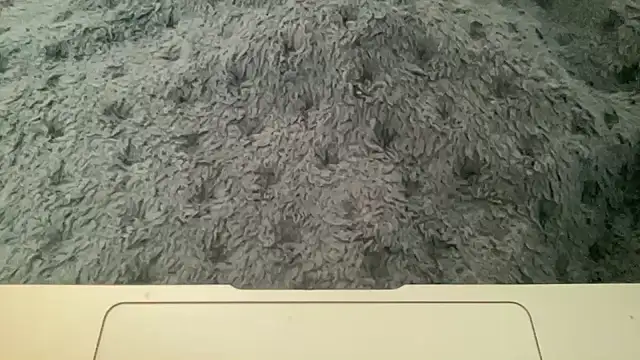 23istanblue23 online show from April 2, 2026, 3:20 pm