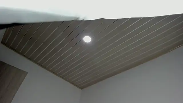 Snapshot of evelynrojas chatting on September 18, 2025, 8:00 pm evelynrojas online show from September 18, 2025, 8:00 pm