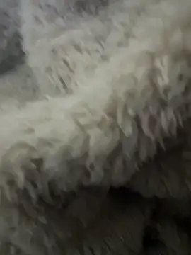 futsam653 online show from November 12, 2025, 9:21 am