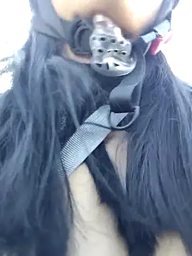 MILA  06 online show from November 26, 2025, 12:06 pm