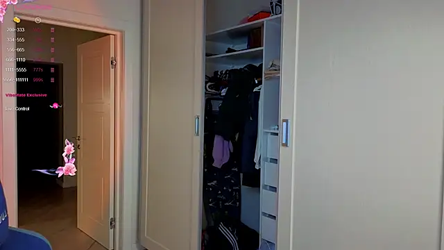 Purple Rise online show from November 19, 2025, 11:32 am