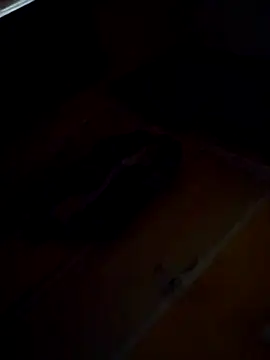 Snapshot of Sumitx007 chatting on September 24, 2025, 7:06 pm Sumitx007 online show from September 24, 2025, 7:06 pm