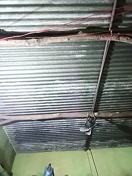 Haliya88 online show from October 29, 2025, 10:55 pm