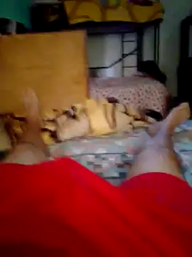 SALCEDO 041198 online show from November 11, 2025, 12:05 pm