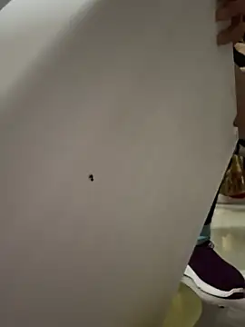 aoyo66 online show from April 3, 2026, 11:19 am