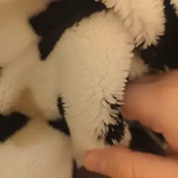 Geilerboy262 online show from November 15, 2025, 10:15 pm