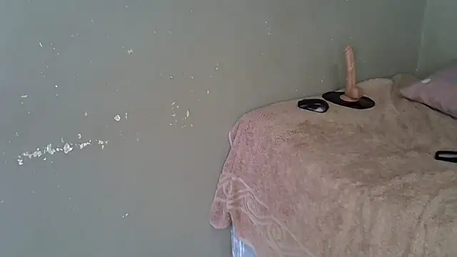 Bellabootie online show from February 10, 2026, 6:28 am