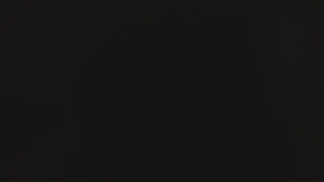 Cynariva online show from November 19, 2025, 12:38 pm