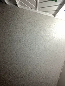 BuzzBunni69 online show from November 21, 2025, 1:54 pm