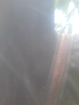 Snapshot of bree-zz chatting on November 10, 2025, 1:48 am bree-zz online show from November 10, 2025, 1:48 am