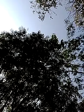 Snapshot of Rs_sonam chatting on February 14, 2026, 3:47 am Rs sonam online show from February 14, 2026, 3:47 am