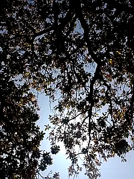 Snapshot of Rs_sonam chatting on March 7, 2026, 5:26 am Rs sonam online show from March 7, 2026, 5:26 am