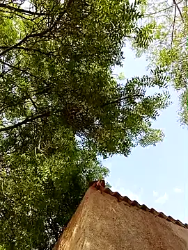 Snapshot of Rs_sonam chatting on April 8, 2026, 10:48 am Rs sonam online show from April 8, 2026, 10:48 am