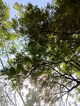 Snapshot of Rs_sonam chatting on April 13, 2026, 9:15 am Rs sonam online show from April 13, 2026, 9:15 am