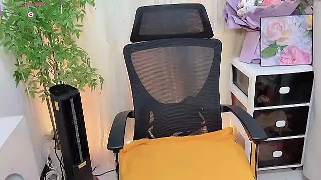 NEWONETO online show from February 4, 2026, 12:55 pm