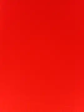 Amelia Rivas online show from October 13, 2025, 6:19 pm