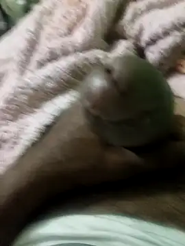 sam salman online show from February 9, 2026, 10:03 pm