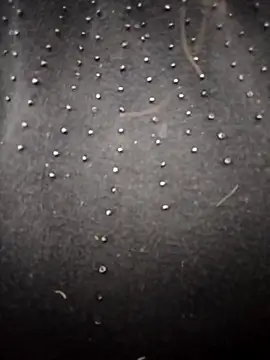 PEEHU-50 online show from March 26, 2026, 2:17 am