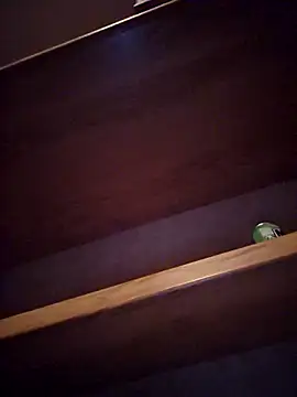 DeeBestEver online show from November 4, 2025, 1:16 am