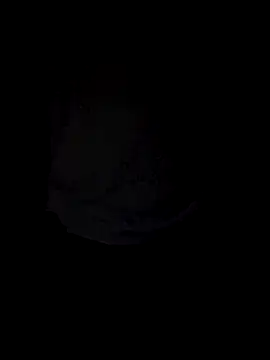 Snapshot of Curious9884 chatting on October 4, 2025, 1:31 pm Curious9884 online show from October 4, 2025, 1:31 pm