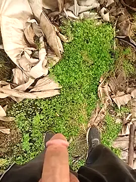 Sikici0734 online show from January 12, 2026, 8:30 am