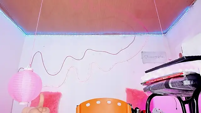 shannon kinne  online show from December 13, 2025, 7:53 pm