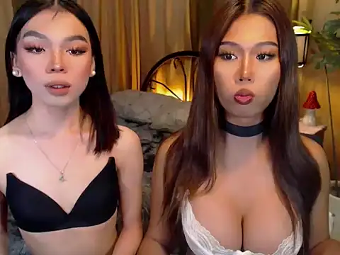 TWINKTRANSSHANEL online show from October 9, 2025, 4:21 am