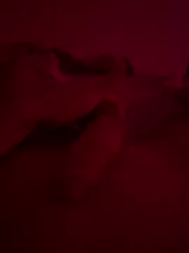 Snapshot of nieonixpeek19 chatting on February 2, 2026, 9:13 pm nieonixpeek19 online show from February 2, 2026, 9:13 pm