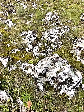 Sert erkek21 ysm online show from March 30, 2026, 1:12 pm