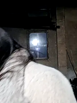 miomio-12 online show from February 27, 2026, 12:49 pm