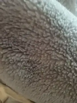 Snapshot of Saif_b11b chatting on March 24, 2026, 10:15 pm Saif b11b online show from March 24, 2026, 10:15 pm