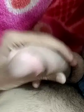 Snapshot of pn12345 chatting on November 9, 2025, 5:44 pm pn12345 online show from November 9, 2025, 5:44 pm