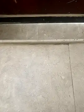 Snapshot of pn12345 chatting on December 1, 2025, 5:12 am pn12345 online show from December 1, 2025, 5:12 am