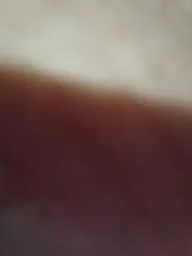 Snapshot of Ceroloco chatting on December 3, 2025, 8:12 am Ceroloco online show from December 3, 2025, 8:12 am