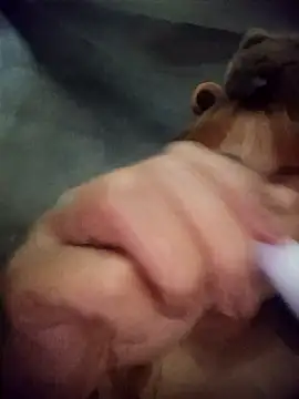 Snapshot of Rabbit-small chatting on March 20, 2026, 4:12 pm Rabbit-small online show from March 20, 2026, 4:12 pm