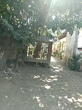 SL BEAR online show from March 26, 2026, 4:18 am