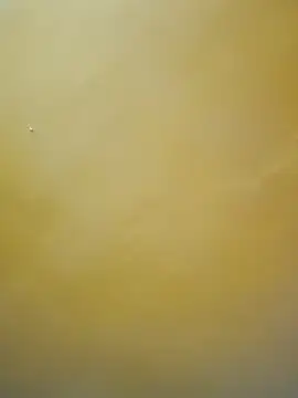 Snapshot of tamil-mala23 chatting on October 18, 2025, 11:44 am tamil-mala23 online show from October 18, 2025, 11:44 am