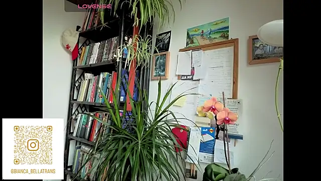 bianca bellamy online show from June 9, 2026, 7:42 am