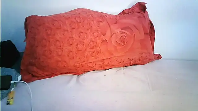 Ntokozo290 online show from February 3, 2026, 10:15 pm