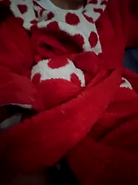 USA4Helen online show from November 4, 2025, 9:30 am