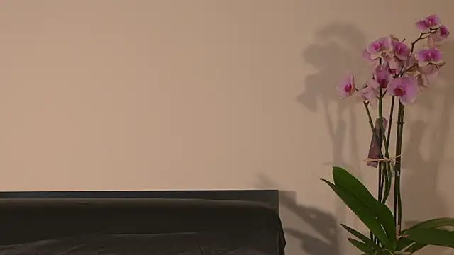 AbrilColls  online show from March 15, 2026, 12:16 am