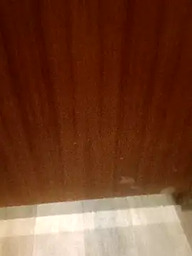 Snapshot of leeya14 chatting on October 11, 2025, 4:12 am leeya14 online show from October 11, 2025, 4:12 am