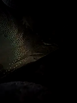 crawlerdrill online show from May 24, 2026, 9:14 am