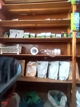 szabi1995 online show from January 10, 2026, 8:16 am