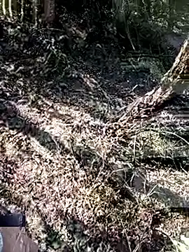 228fucker online show from January 8, 2026, 7:43 am