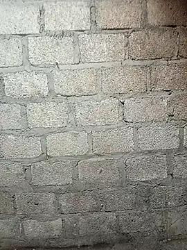 siusiu-00 online show from February 19, 2026, 9:16 am