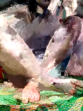 -Kem-01 online show from December 5, 2025, 1:09 pm