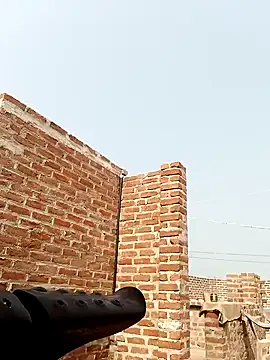 Rajni chauhan online show from February 20, 2026, 6:26 am